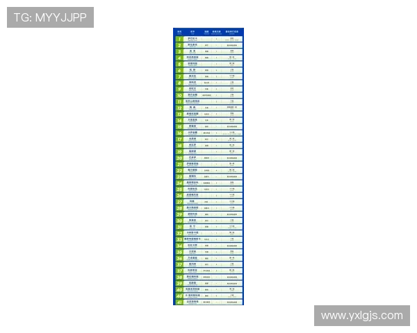 武汉网球队荣登网球技术排行榜首位引领全国水平新高度