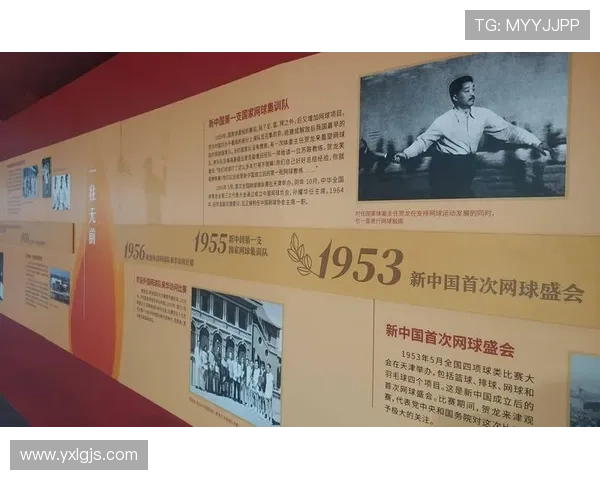 武汉网球队在钻石联赛中的比赛经验与表现分析