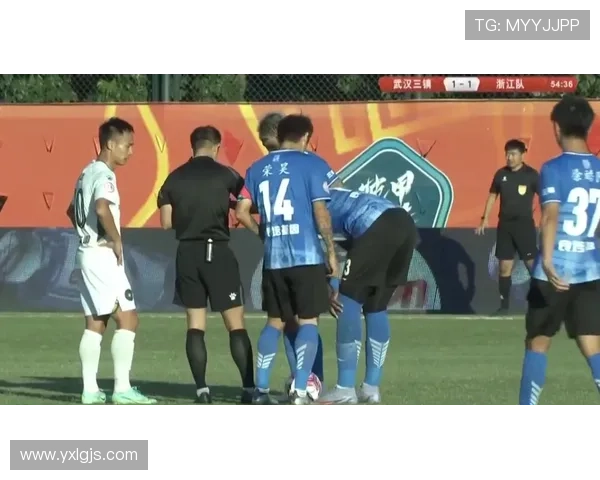 武汉羽毛球队防守革新之路：从传统到现代的转型与挑战