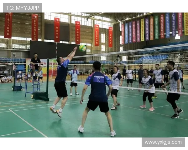 南京排球队逆袭之路揭秘精英赛背后的奋斗与荣耀