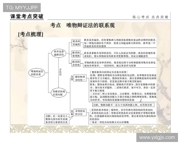 武汉排球队意识对比深度剖析与战术思维的影响研究