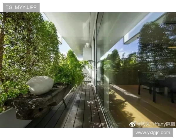 足球明星的居住小区揭秘你不知道的豪宅生活与社区环境