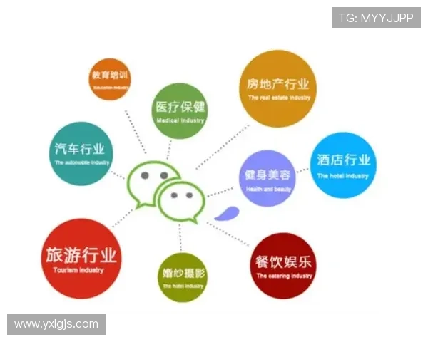 成都羽毛球队运营模式分析与发展前景探讨 成都羽毛球队运营模式分析与发展前景探讨