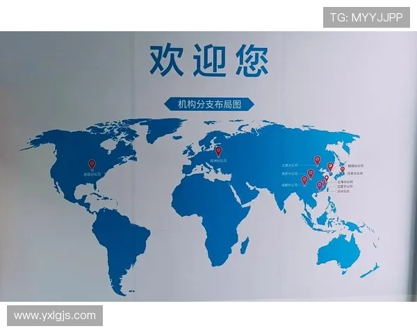 深圳乒乓球队的节奏体系与战术创新探讨