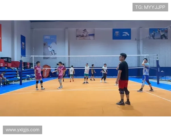 重庆排球队在选拔赛中的灵活性表现分析与点评